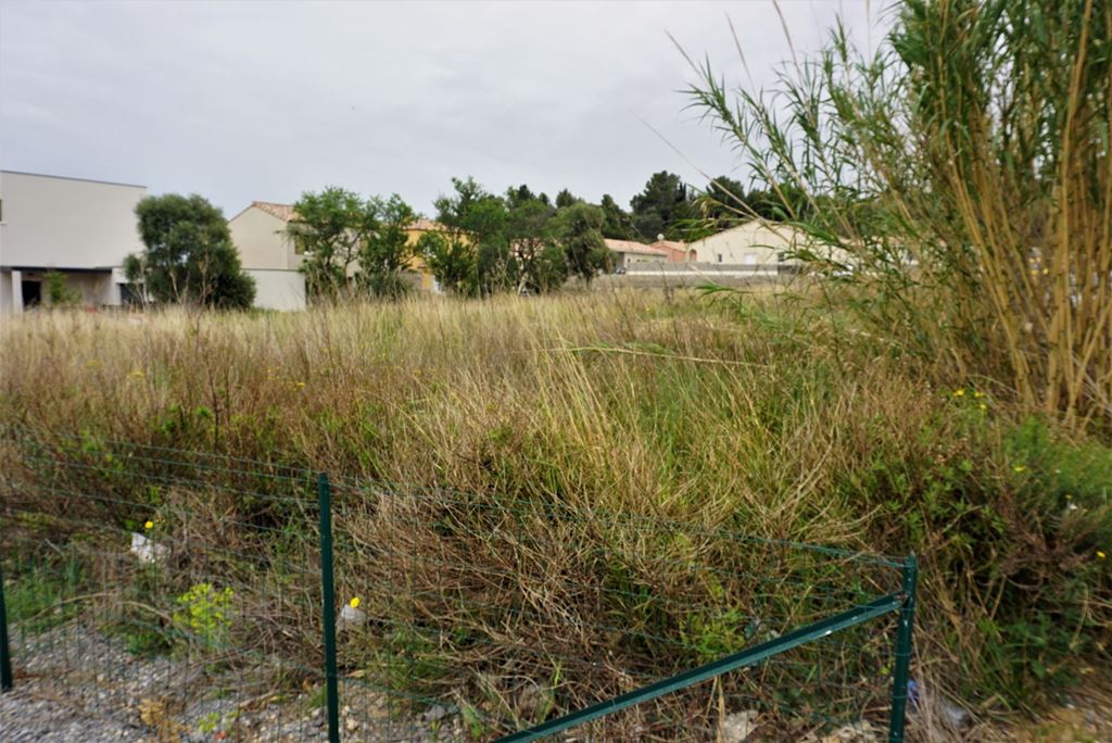 Terrain LAPALME 74460€ MYRIAM MAGNE IMMOBILIER Terrain LAPALME 74460€ MYRIAM MAGNE IMMOBILIER