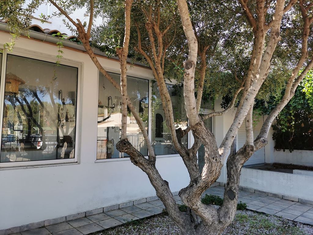 Maison NARBONNE 265000€ MYRIAM MAGNE IMMOBILIER Maison NARBONNE 265000€ MYRIAM MAGNE IMMOBILIER