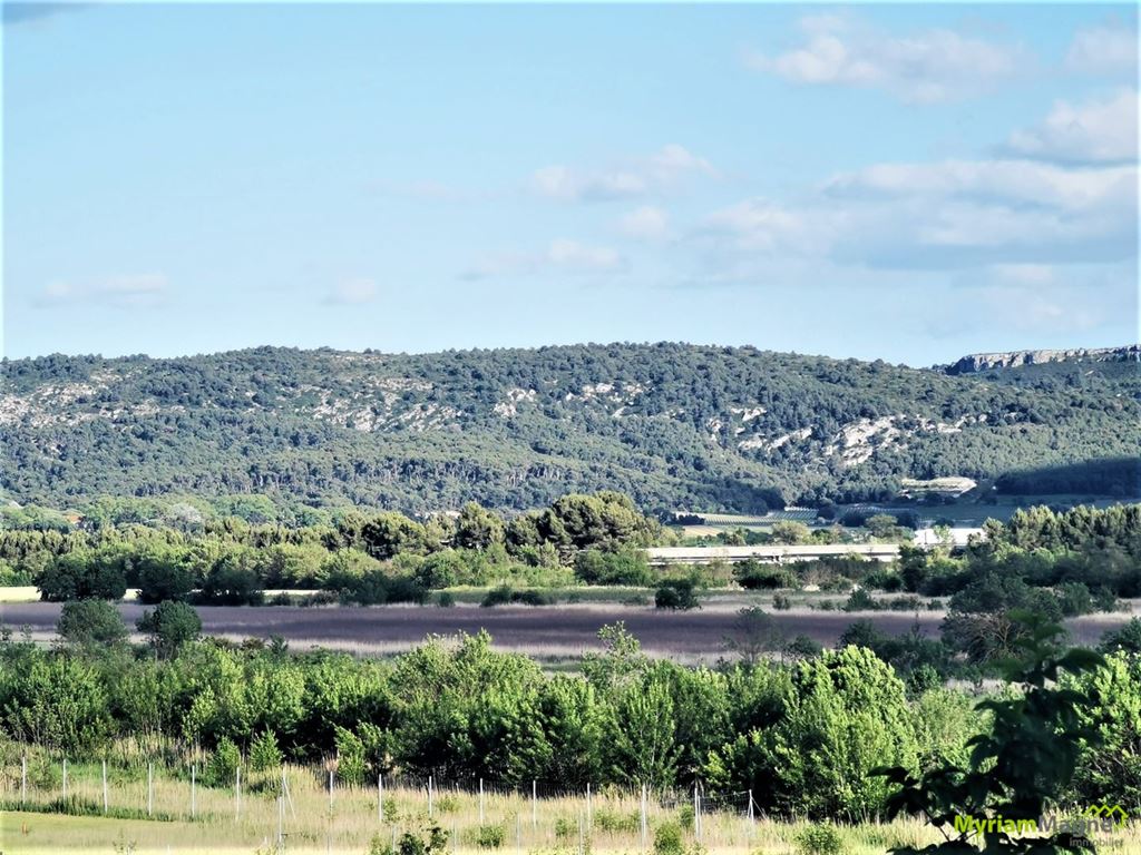 Appartement Appartement NARBONNE 139000€ MYRIAM MAGNE IMMOBILIER Appartement Appartement NARBONNE 139000€ MYRIAM MAGNE IMMOBILIER